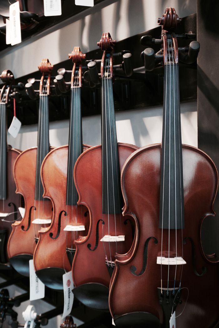 Close-up of several violins hanging on a rack in a music shop setting.